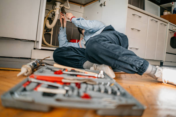 Best Local Plumber Services  in Ishpeng, MI