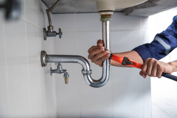Best Clogged Drain Plumber  in Ishpeng, MI