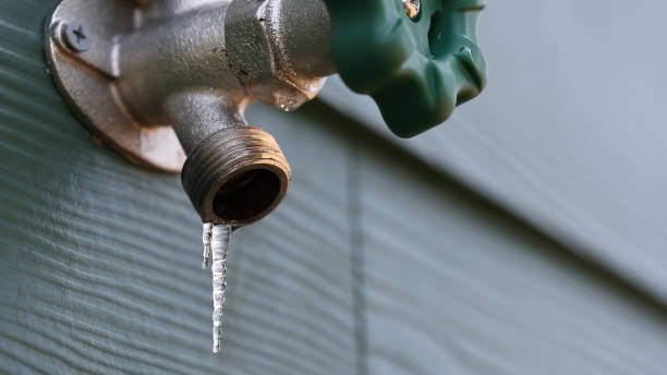 Best Shower Repair Services  in Ishpeng, MI